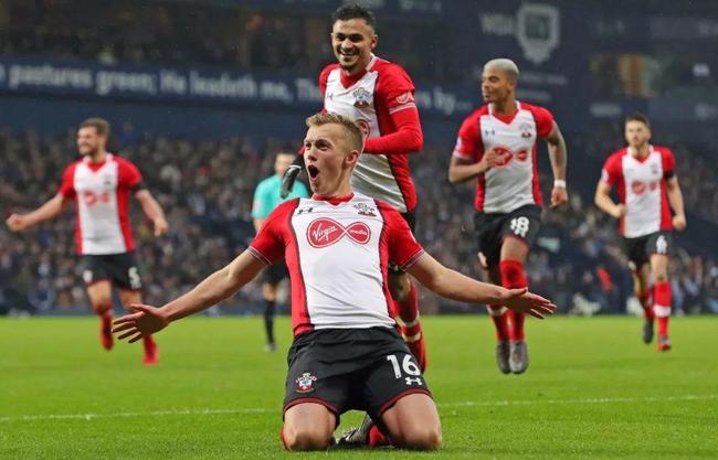 为了掩护同伴撤退，公牛独自留下应对狮群，英雄无处不在！